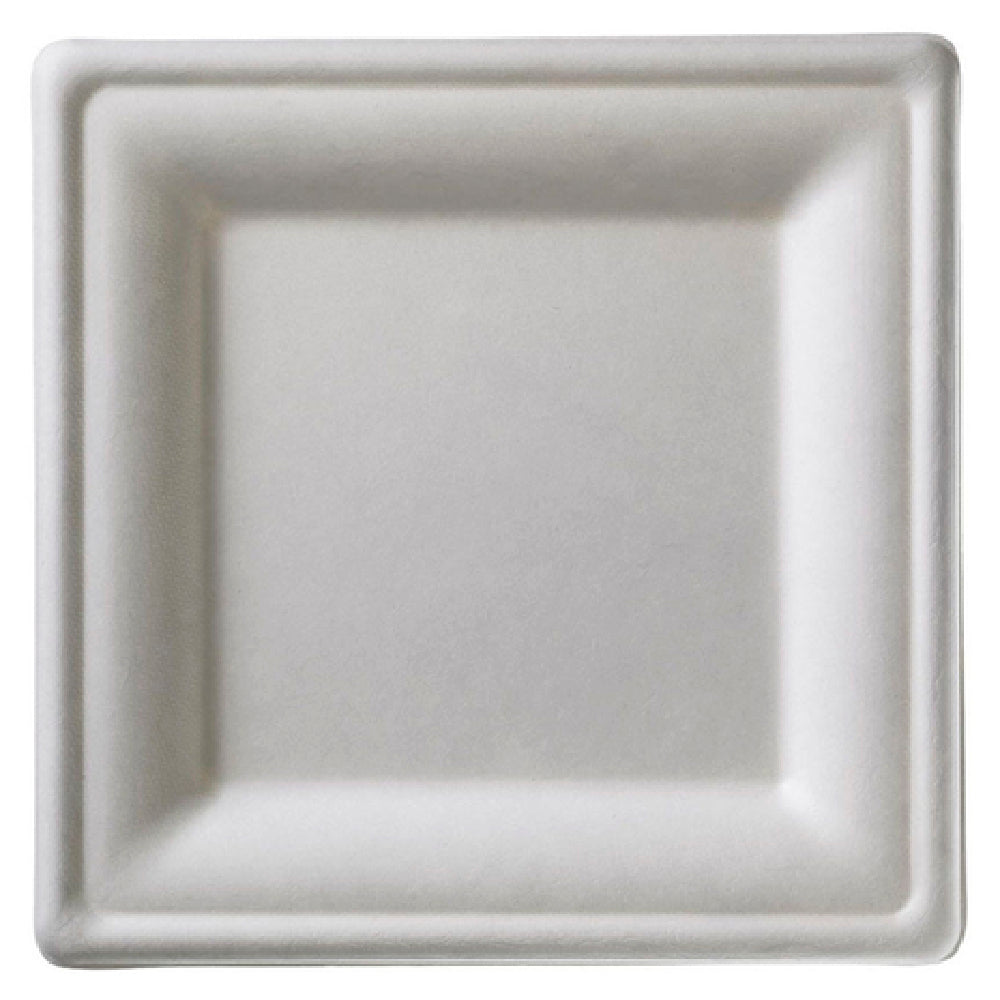 Tableware Solutions USA Q2025 Disposable Plate 10-1/4" X 10-1/4" (26 X 26 Cm)