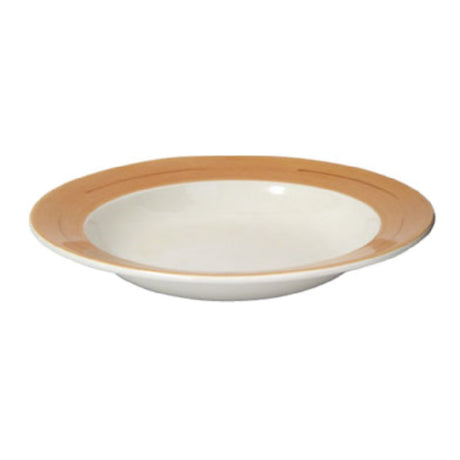 Tableware Solutions USA 55CCNAM104 Pasta/Soup Plate 22 Oz. (0.65 L) 10-1/4" Dia.