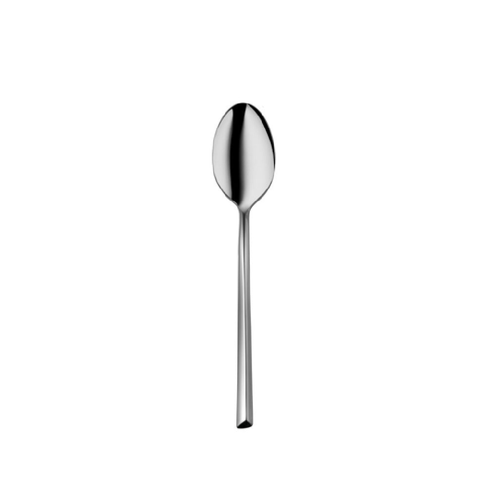 Bauscher Hepp 56.1501.6040 - Table Spoon, 8 2/5", Stainless Steel