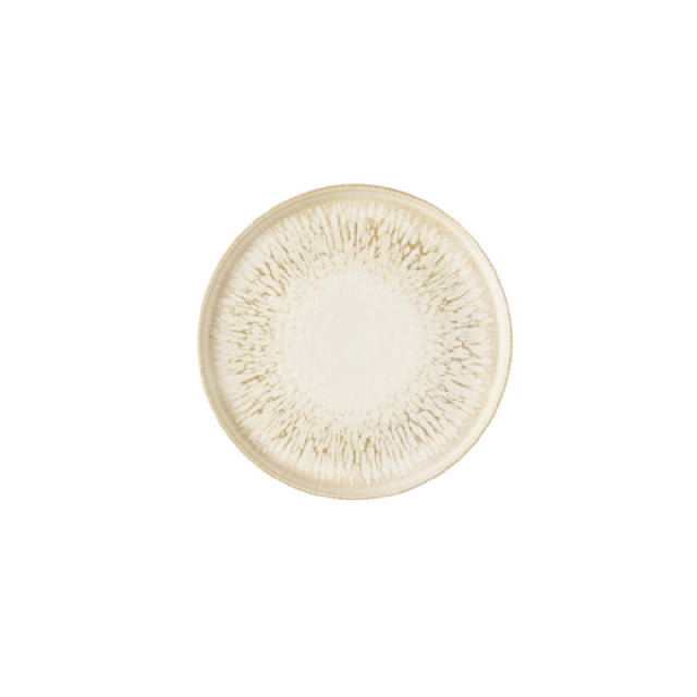 Churchill China ILUNWP261 - Plate, 10.33" Dia., Round