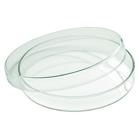 Bauscher Hepp P513108 - Mini Bowl, 3" Dia., Round