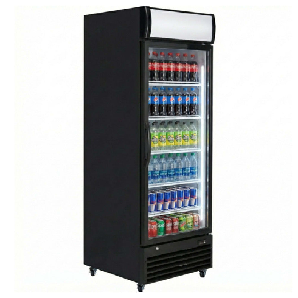 Empura EGM-23B - Refrigerated Merchandiser, 27.56"W X 31.1"D X 81.02"H, 21 Cu. Ft. Capacity
