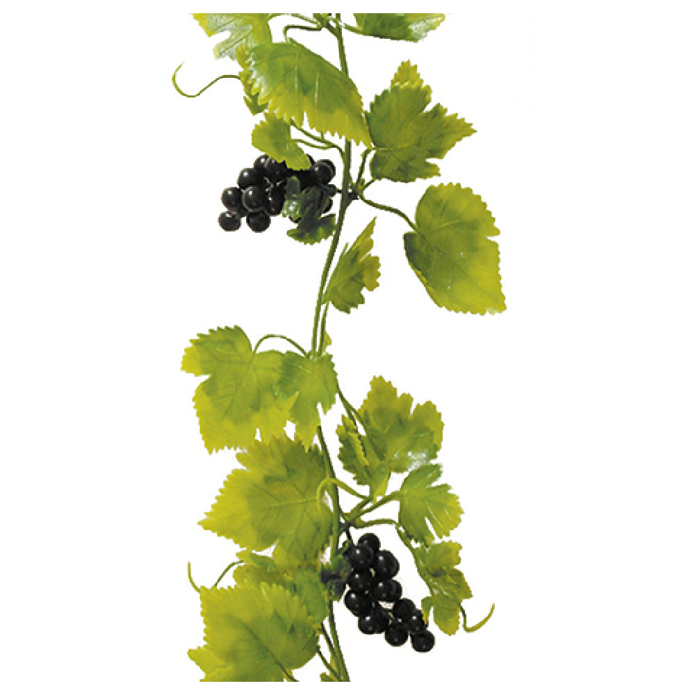 Bauscher Hepp SB21 - Vine, 72-4/5", With Black Grapes