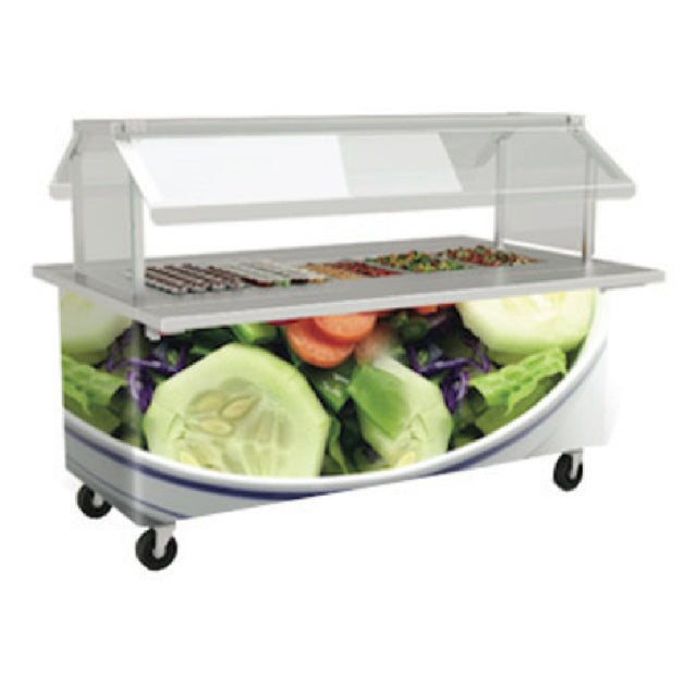 Low Temp Industries FNR-74 Fresh 'N Ready Food Bar Double-sided Self Service Ice Cooled