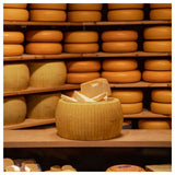 BOSKA 360049 - Boska Cheese Replica Parmesan Reggiano, With Dish, 16.92''W X 16.92''D X 9.33''H