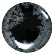 Bauscher Hepp 711228-360240 - Plate, 11-1/10" Dia., Round