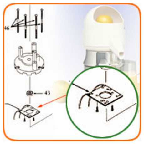 Sunkist 41A Motor Switch Stationary (for Bluffton Motor)